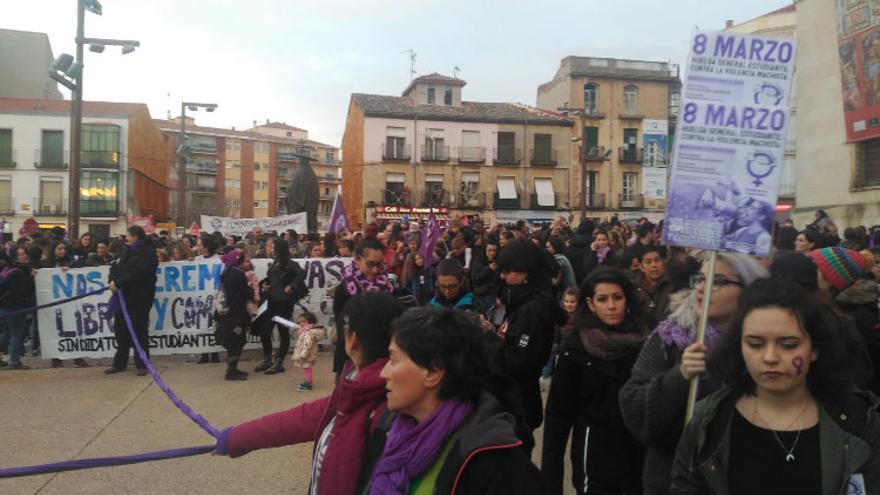 Manifestación en Guadalajara, a los pies del Palacio del Infantado