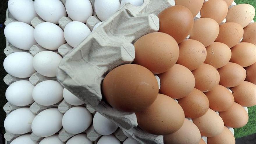 Alerta alimentaria en Holanda por huevos contaminados con un pesticida tóxico
