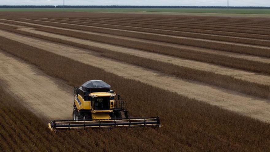 Brasil recogerá una cosecha histórica en 2020 tras la producción récord de 2019
