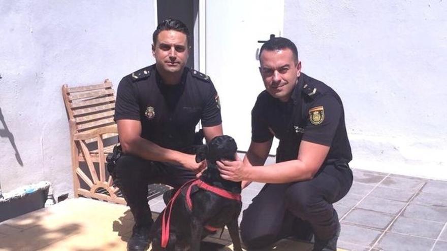 Agentes de la Policía Nacional rescatan a un perro en Fuengirola, Málaga