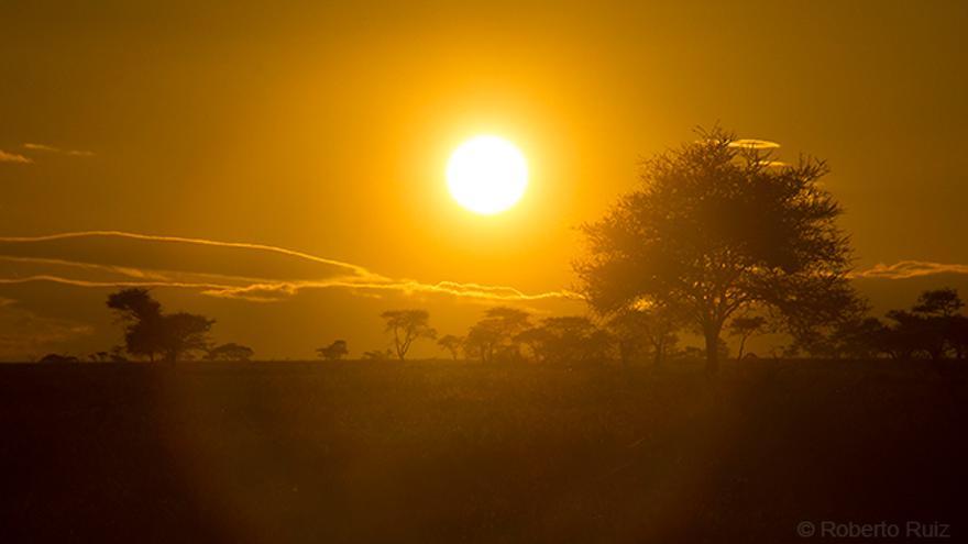 Amanecer-Parque-Nacional-Serengueti_EDIIMA20190320_0096_1.jpg