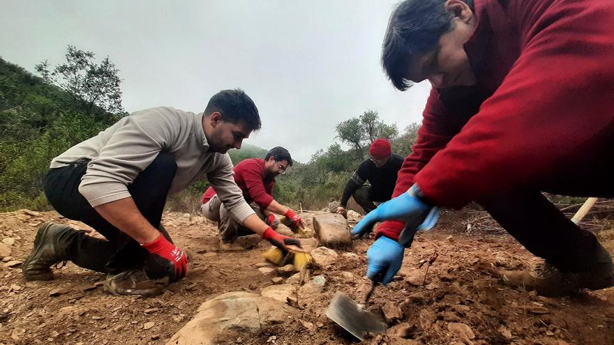 Equipo arqueológico en la búsqueda de la fosa de El Cojillo en Berrocal (Huelva). | JUAN MIGUEL BAQUERO