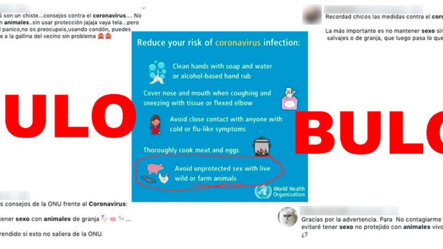 La OMS no ha pedido evitar tener "sexo sin protección con animales" para evitar el contagio de coronavirus