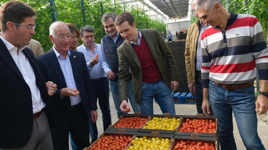 Pablo Casado, este martes, en el invernadero de tomate cherry de Mujiverde, en El Ejido (Almería).