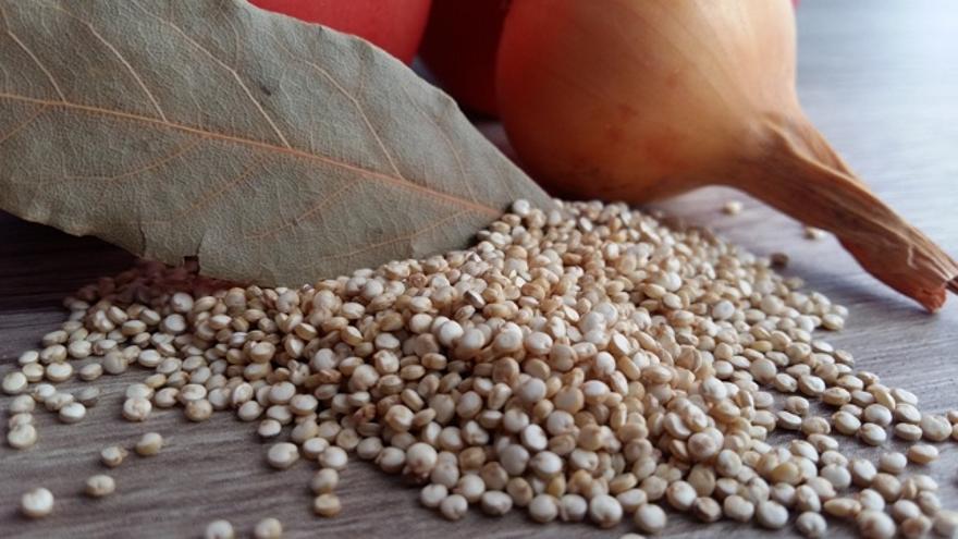 Semilla de quinoa. Foto: SEMSEMS