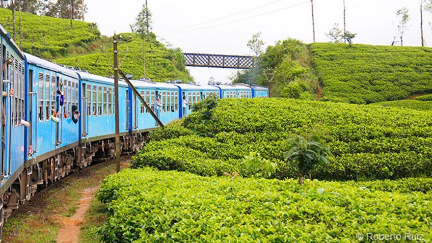 Tren-Kandy-Nuwara-Eliya-Lanka_EDIIMA20190318_0053_1.jpg