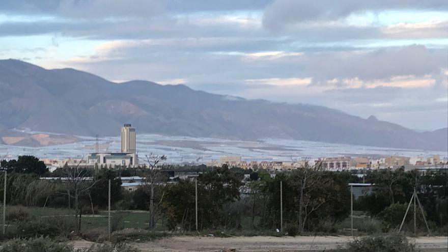 Los invernaderos rodean El Ejido y son su principal sustento económico en el Poniente de Almería.