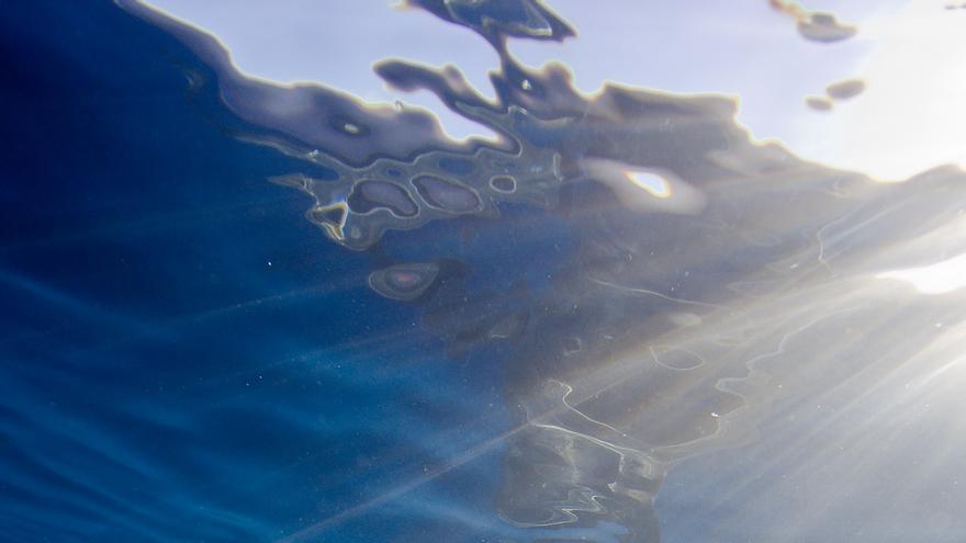 tiburon-cerca-superficie-reflejado-Sol_EDIIMA20190403_0783_22.jpg