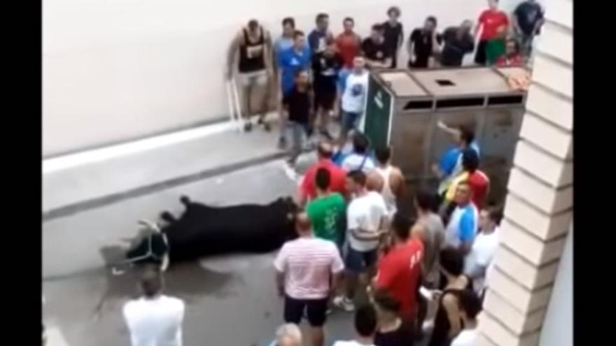 Aficionados de los bous al carrer increpan a una vecina que graba la muerte de un toro
