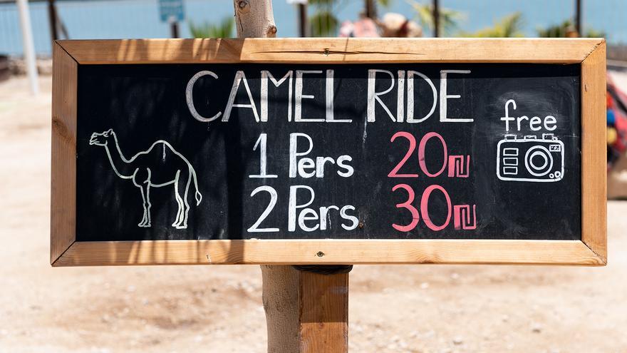 Cartel anunciando atracciones con camellos