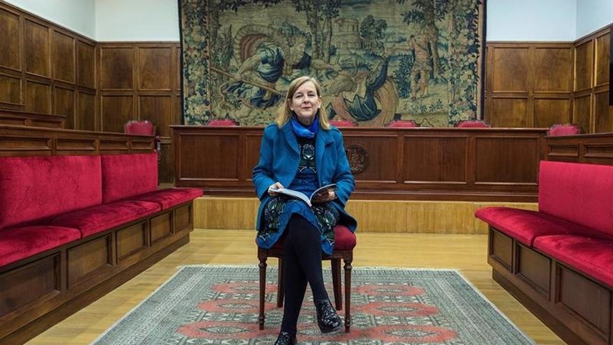 El PSOE recoge firmas en la Eurocámara para pedir a la jueza Elósegui que rectifique