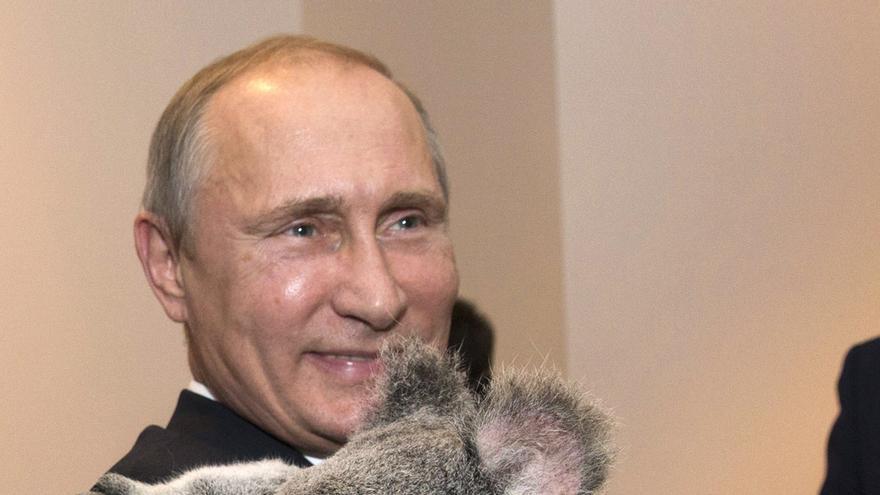 Putin sostiene a Jimbelung, el koala protagonista de la cumbre del G20 en Australia / FOTO: Bestimages