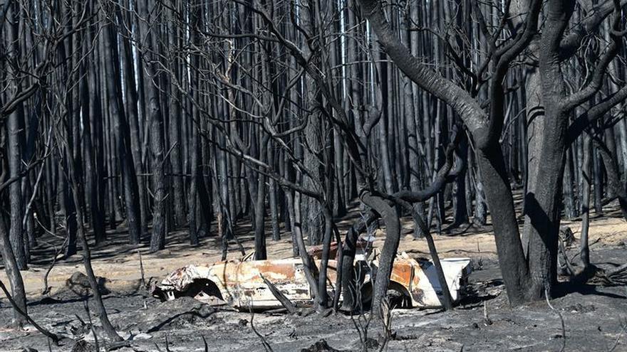 Una campaña de intoxicación masiva en Twitter intentó desvincular los incendios de Australia del cambio climático