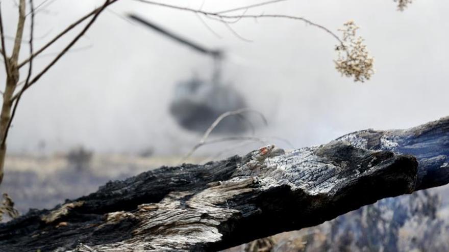 Más de 25.700 hectáreas se han perdido por incendios forestales en Colombia