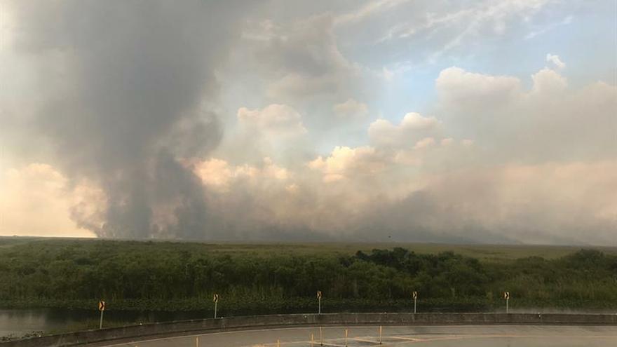 Un incendio forestal consume 32.000 hectÃ¡reas de arbustos en los Everglades